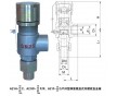 安全閥A21H-16C，安全閥，廣州安全閥