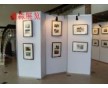 博物館奇妙展覽展板，一裝即用式展覽屏風(fēng)