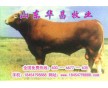 山東養(yǎng)?；睾８Ｌ嘏r格怎樣