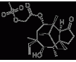 供應(yīng)截短側(cè)耳素-22-甲磺酸酯