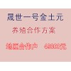 洛陽可信賴的土元養(yǎng)殖合作公司，當屬晟世養(yǎng)殖農業(yè)公司_的土