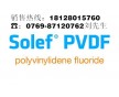 美國(guó)蘇威PVDF Solef 聚偏氟乙烯 PVDF