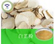 產(chǎn)品供應(yīng) 	白芷粉