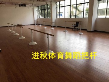 深圳移動式舞蹈把桿供應商