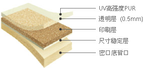 特蘭迪 - 導(dǎo)電碳絲